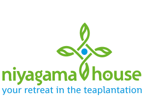 http://www.niyagamahouse.com