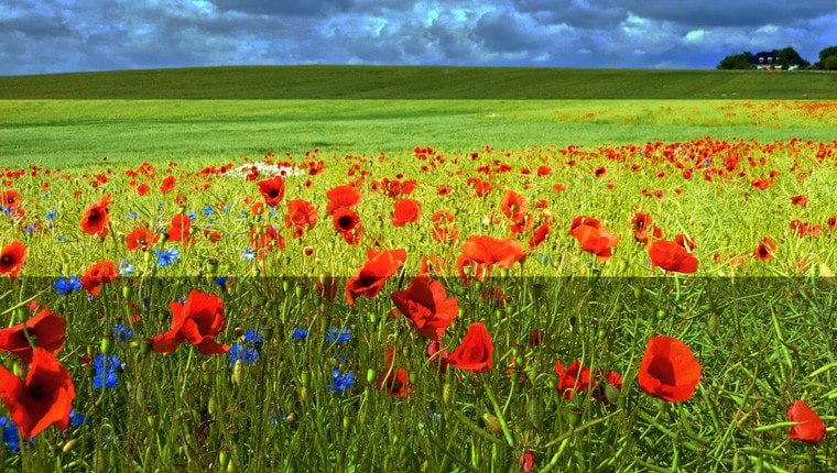 widescreen-bsp3